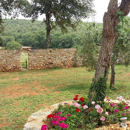 La Tenuta Di Castelvecchio 산지미냐노 외부 사진