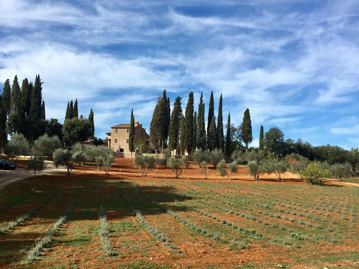 La Tenuta Di Castelvecchio 산지미냐노 외부 사진