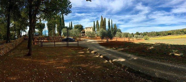 La Tenuta Di Castelvecchio 산지미냐노 외부 사진